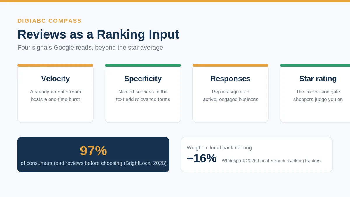 How Reviews Rank a Local Business: Velocity, Specificity, and Responses (2026)